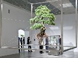 Las esculturas bot�nicas de Makoto Azuma