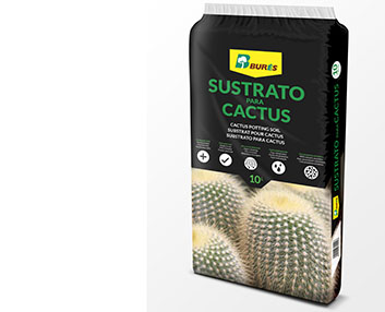 Sustrato especial para cactus y suculentas