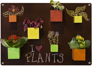Macetas magnéticas para las plantas