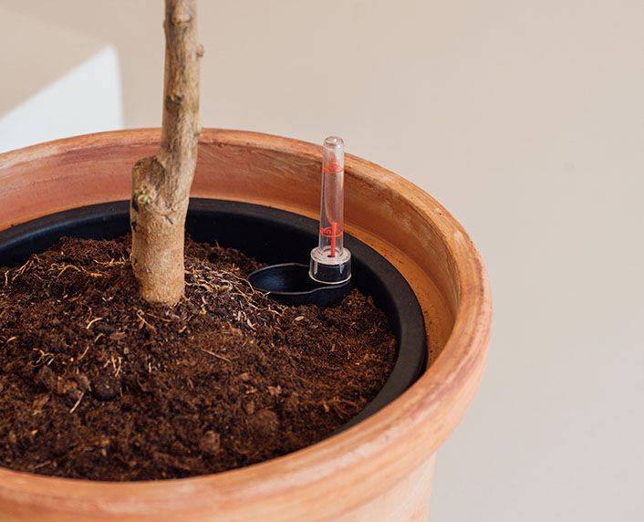 Una maceta de terracota con accesorio de autorriego 