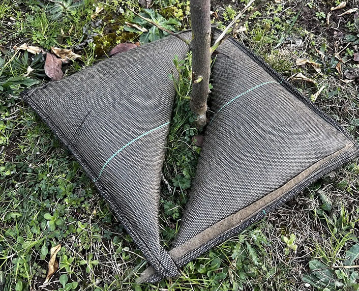 Cojines de riego autorecargables con la lluvia y la manguera
