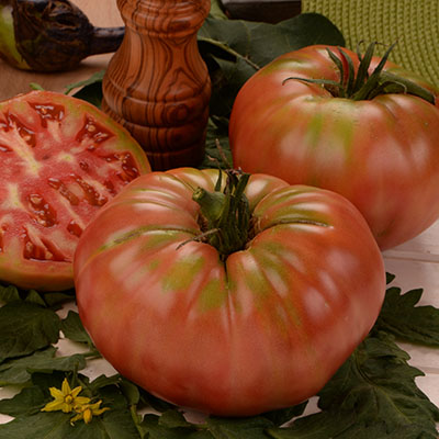 Tomate Gigante Rosa