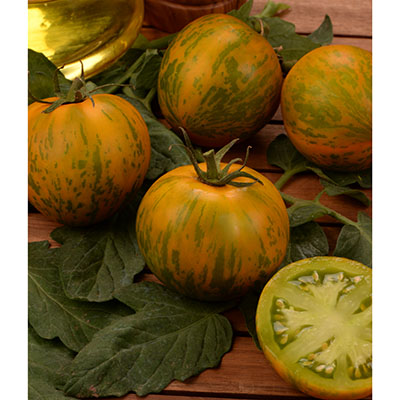 Tomate Green Zebra - Tigre