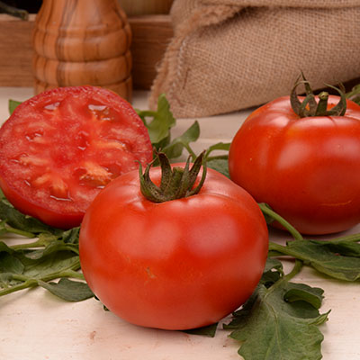 Tomate Marglobe