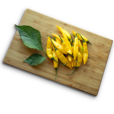 Pimiento amarillo mini picante ‘Hot Lemon’ 