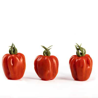 Tomate ‘Wabi-Sabi’