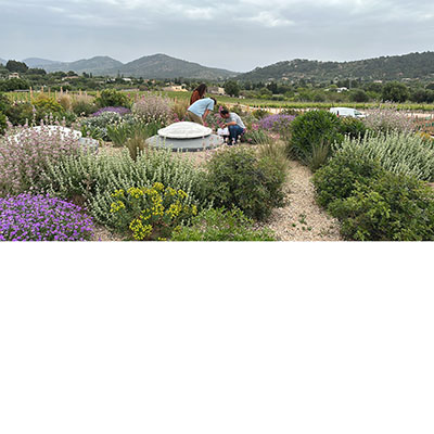 Una cubierta ajardinada con plantas mediterráneas