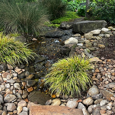SUDS y jardines de lluvia 