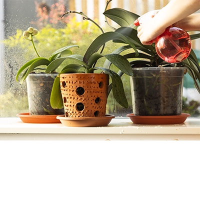 Un pulverizador para refrescarlas