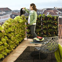 ¡Los jardines verticales se instalan en casa!