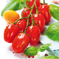 Tomate ‘Cherry Pera’