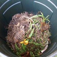 Hacer compost en casa