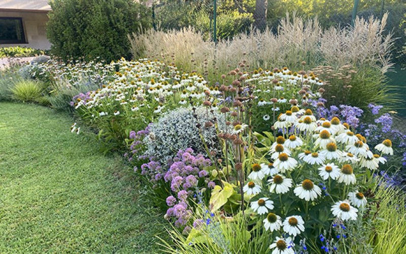 Más biodiversidad en el jardín (2ª parte): la selección de las plantas y el mantenimiento