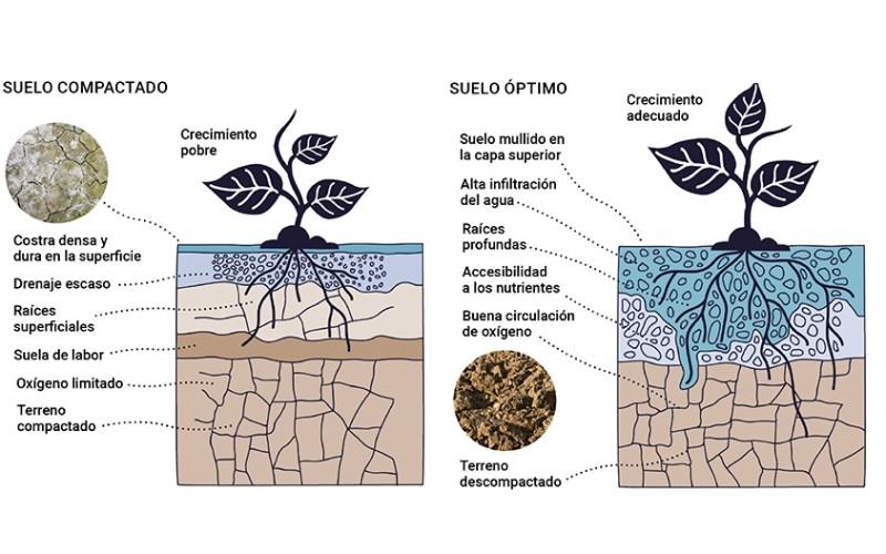 Cómo favorecer la infiltración  del agua en el suelo del jardín