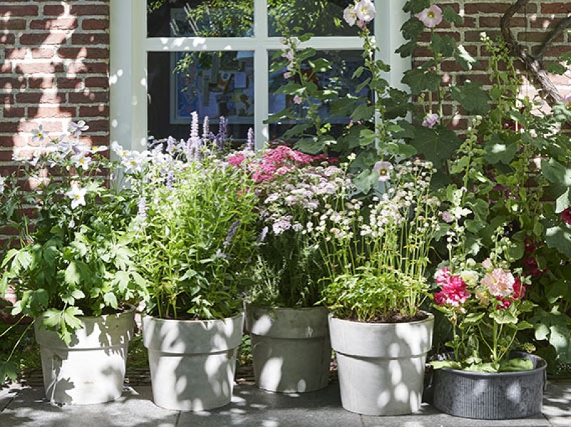 Por qué las macetas grandes son perfectas en jardines pequeños