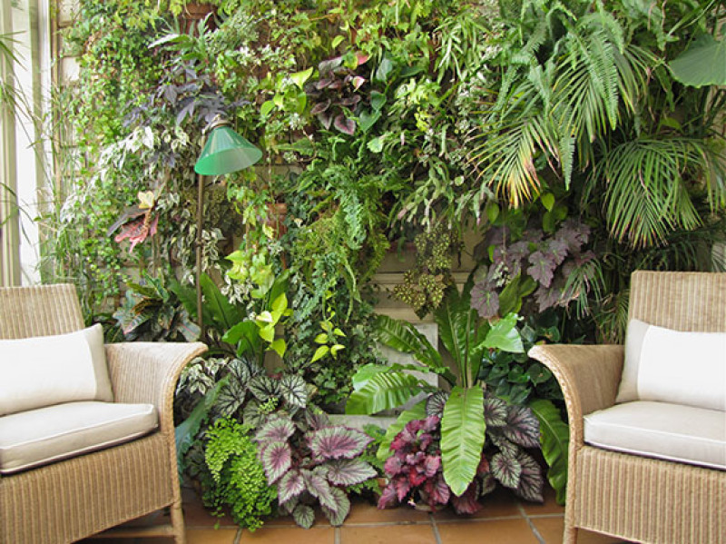 patio de recreo Pantano reposo verdeesvida :: Jardines de invierno: un espacio verde dentro de casa
